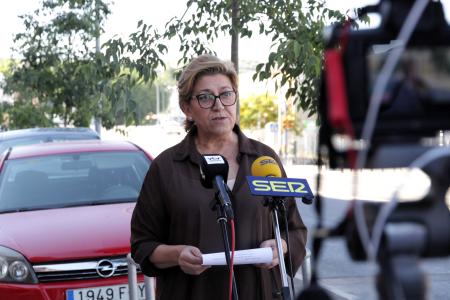 imagen de Finaliza el Plan Municipal de Arbolado con 129 nuevos árboles y cobertura urbana del 11,25%