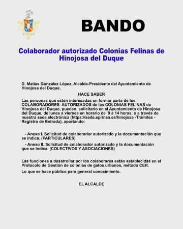 imagen de Ayuntamiento abre inscripción para gestionar colonias de gatos con método CER