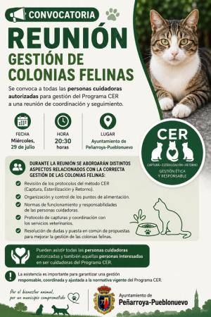 imagen de Peñarroya-Pueblonuevo convoca reunión sobre Programa CER y colonias felinas (29 jul)