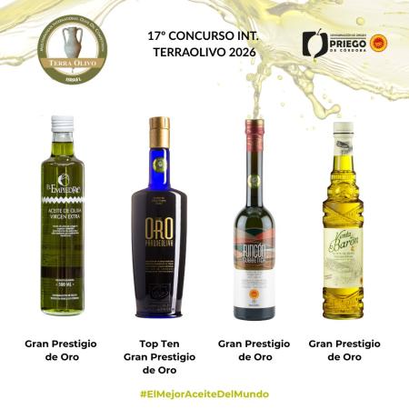 imagen de Cinco distinciones en TerraOlivo 2026: DOP Priego de Córdoba brilla en Jerusalén