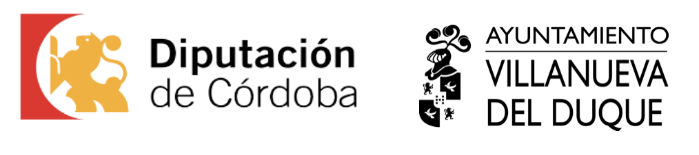 La Diputación de Córdoba impulsa la innovación social y las TIC´s en la provincia