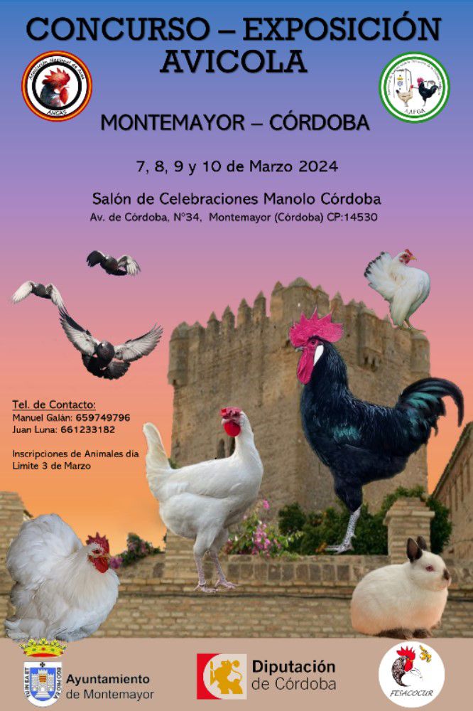 Concurso &#8211; Exposición Avícola 2024