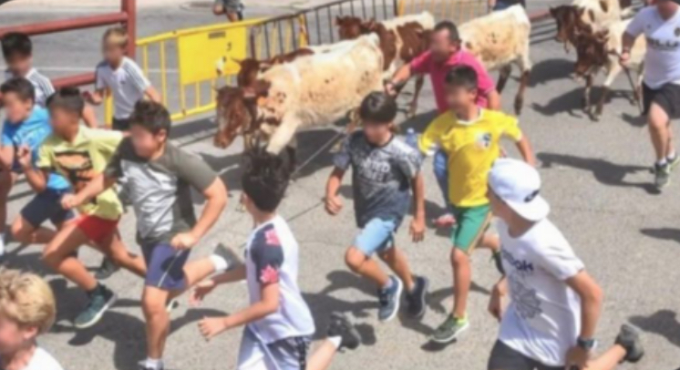 PRIMER ENCIERRO INFANTIL CON BUEYES PEQUEÑOS