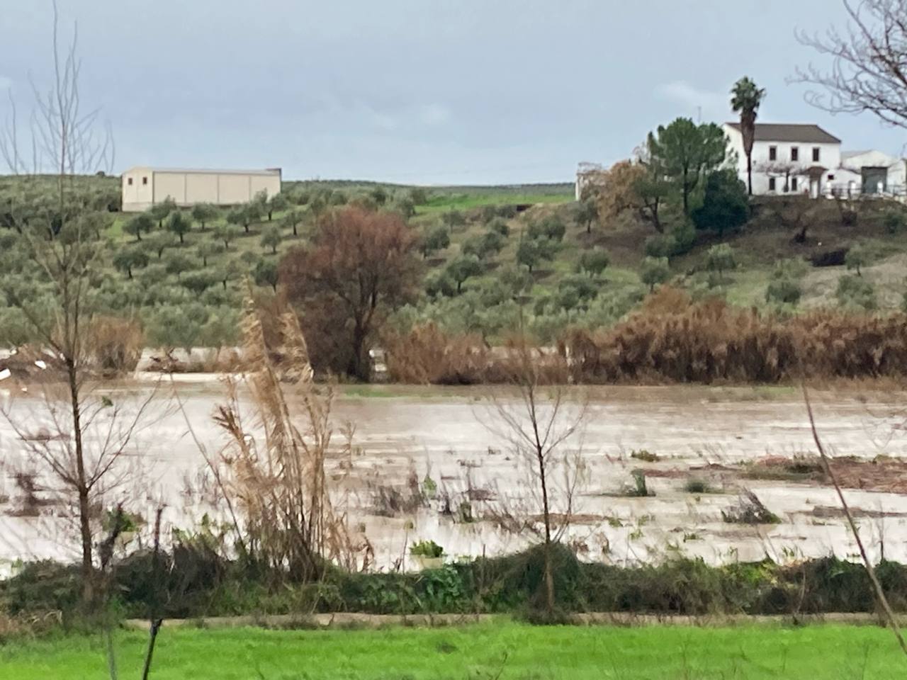Cabra en aviso amarillo por la borrasca "Leonardo" con lluvias intensas y rachas de viento