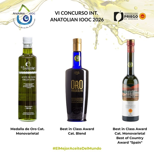 DOP Priego de Córdoba brilla en Turquía: Rincón de la Subbética, Mejor AOVE de España