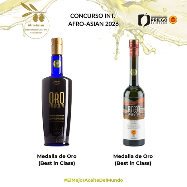 Dos AOVE de DOP Priego (Parqueoliva y Rincón) ganan oro Best in Class en Afro Asian 2026